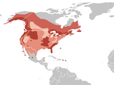 American picture Eagle aguila Bald Distribution_H._leucocephalus