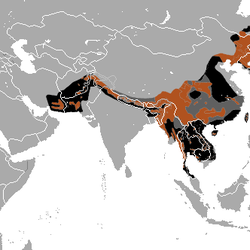 Asian Black Bear distrobution map area