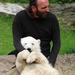Polar Bear arctic hug cub love