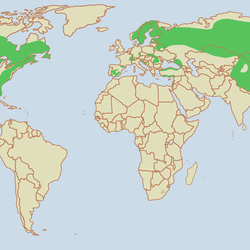Lynx distribution map range
